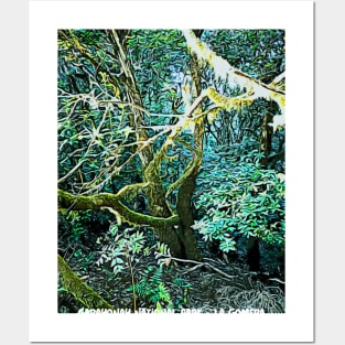 Garayonay National Park La gomera island Posters and Art